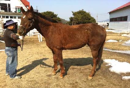 ��ȭ������ ����