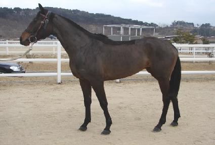 ���̳����� ����