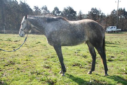 �Ƹ��׶� ����