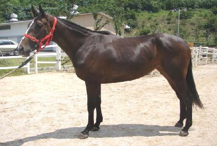 �������� ����