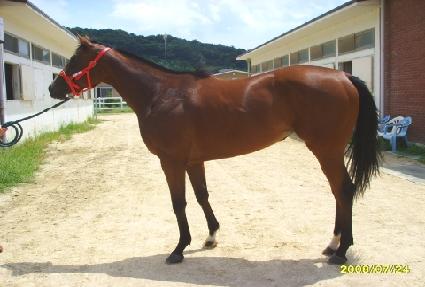 ������� ����