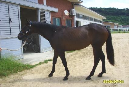 ���� ����