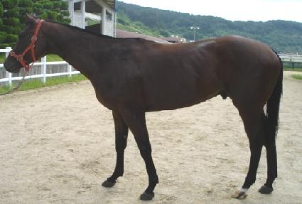 �ູ�帲 ����