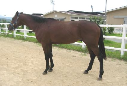 ������� ����