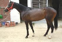 �����¾� (DONGSEO TAEYANG) ����