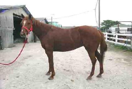 �ٳ� ����