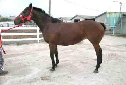 ��Ʈ����� ����