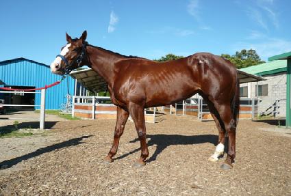 ������� ����