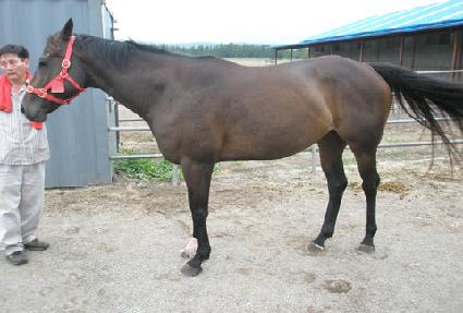 �յ��������ϵ� ����