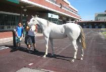 ���ø�Ʈ�Ŀ� (COMPLETE POWER) ����