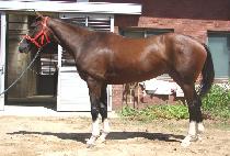 ��ƼǮŸ�� (BEAUTIFUL TIME) ����