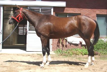 ��ƼǮŸ�� ����