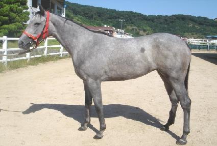 �ű�õ�� ����