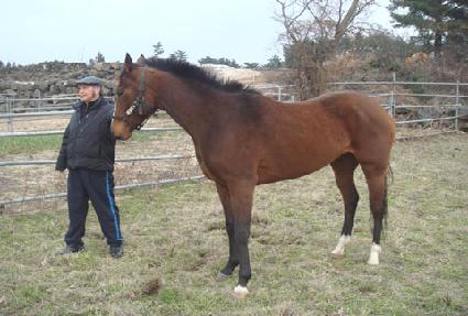 ������ ����