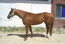 į����� (CALM THE OCEAN) ����