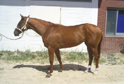 į����� ����