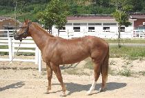 ������븮�� (THERES NO REASON) ����