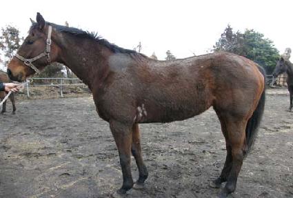 ���� ����