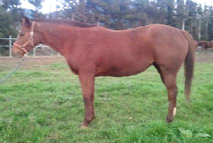 �Ľÿ��꿣���� ����