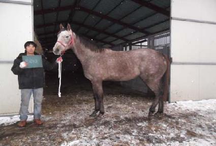 ������ȥ ����