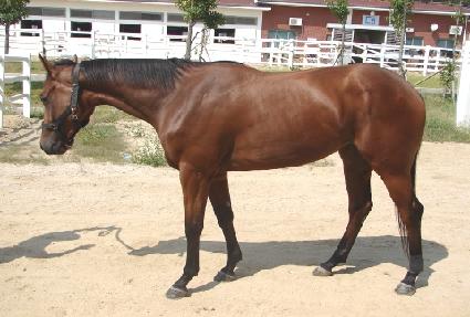 Ʈ��Ű������ ����