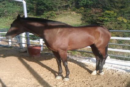 ������ ����