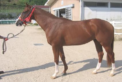 �����ְ� ����