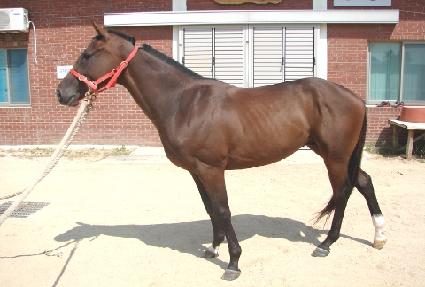 ǻ�󸮽����׳ʽ� ����