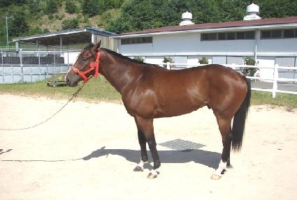 ��� ����