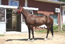 ���꽺���� (LOVE SNUCK IN) ����