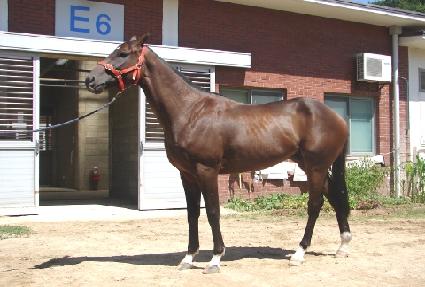 ���꽺���� ����