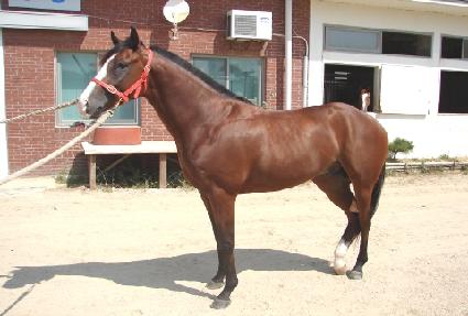 ��ȣ���� ����