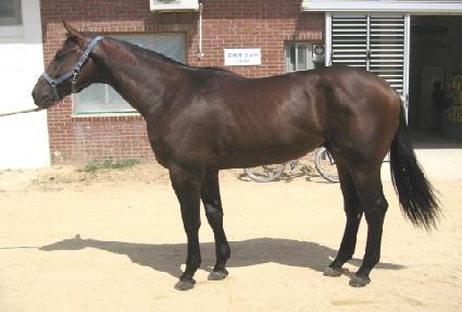 �ױ����� ����