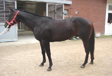 �ϼ��屺 ����