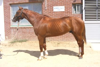 �ͻ��������� ����