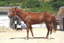 ȭ������ (HWARANG JEONGSIN) ����