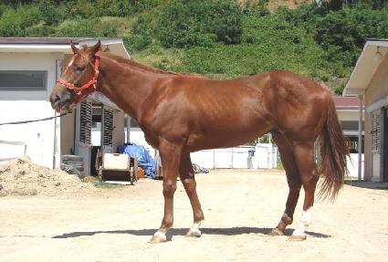 ȭ������ ����