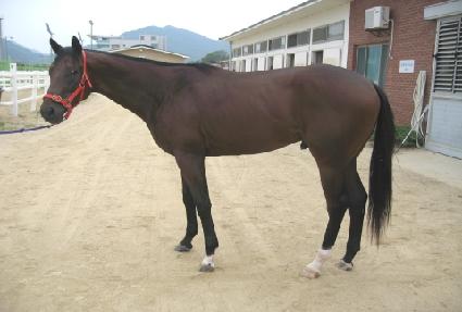 ����õ�� ����