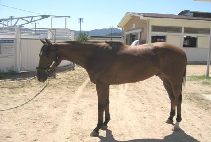 �ִ����ǰ ����