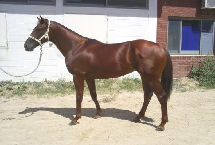 ���̺���Ʈ ����