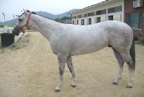 ��� (BAEKGEOM) ����