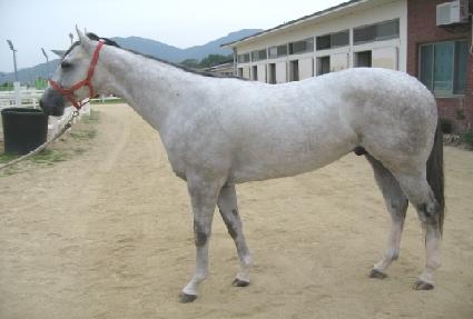 ��� ����