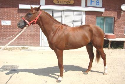 ų������Ÿ�̰� ����