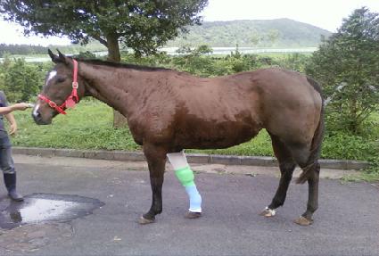 ���ζ� ����