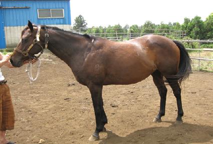 �������� ����