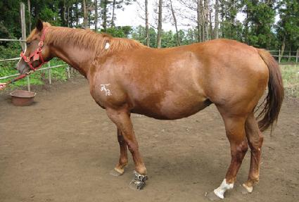 �������Ʈ ����