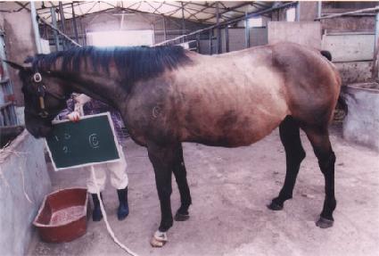 ����λ���Ʈ ����