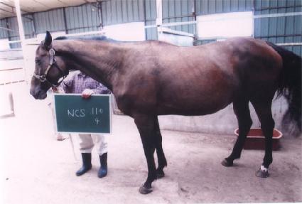 ���� ����