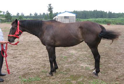 ����� ����