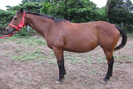 ������Ÿ�� ����